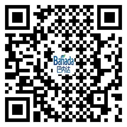  扫一扫进入官方手机端