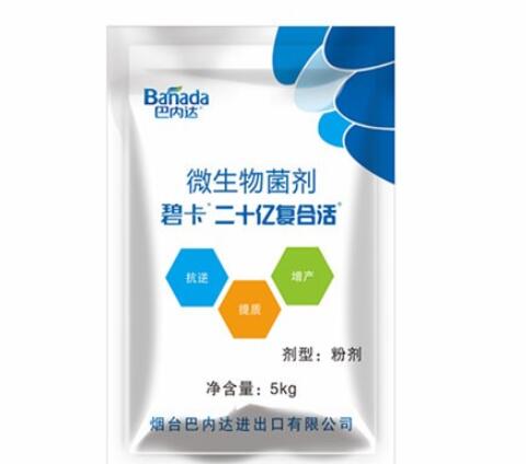 生根剂时的使用注意事项有哪些