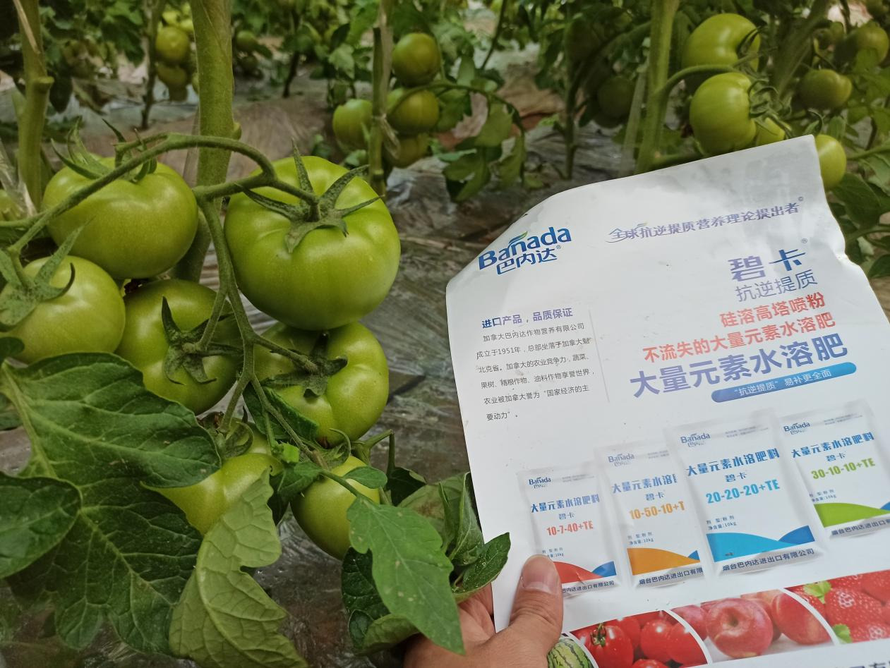 进口水溶肥有哪些优势 进口水溶肥有哪些优势