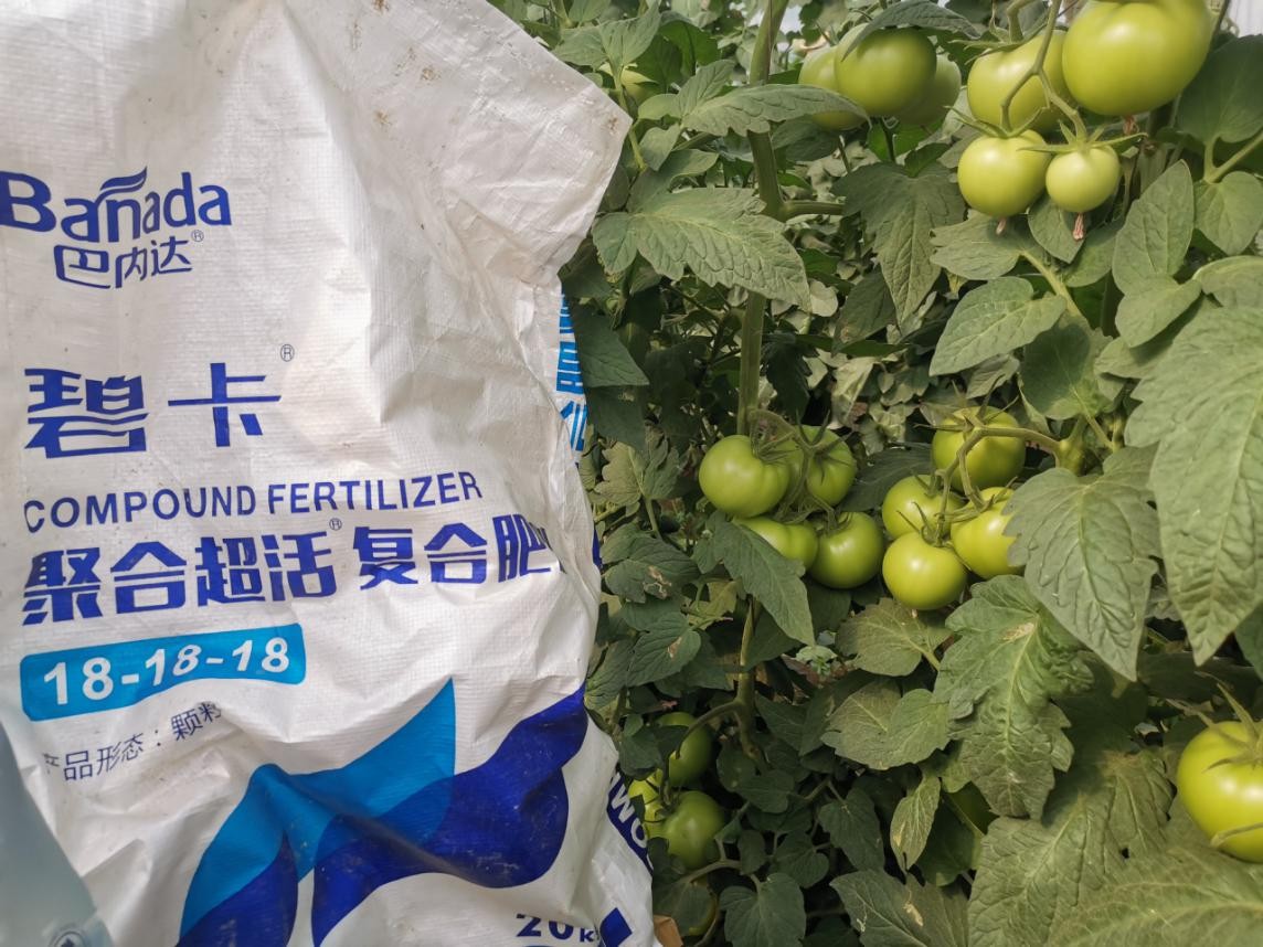 碧卡水溶肥怎么样