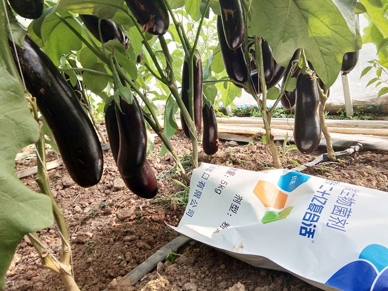 有机肥的基本制造工艺有哪些