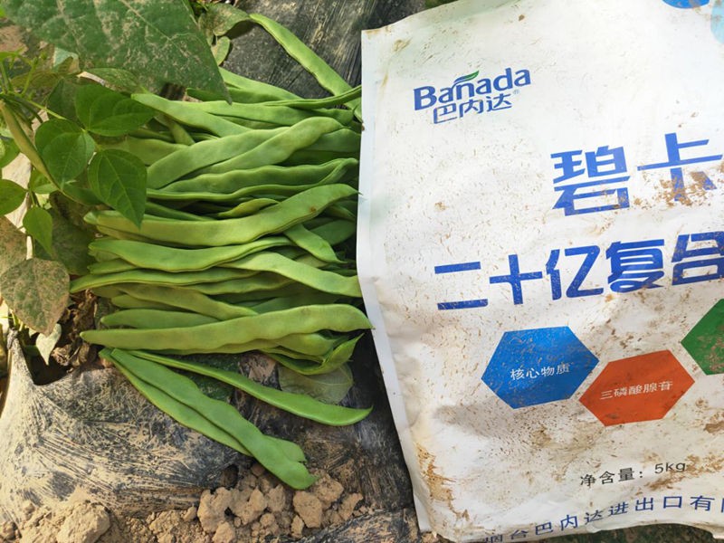 有机肥厂家怎么选择