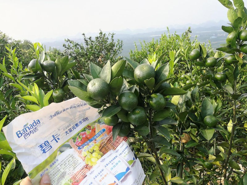 水溶肥厂家提示：果树正确施肥的重要性